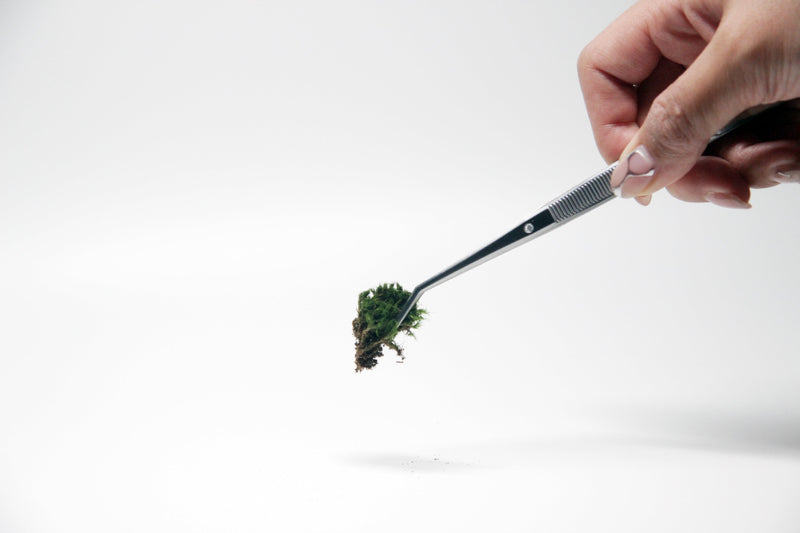 Tool