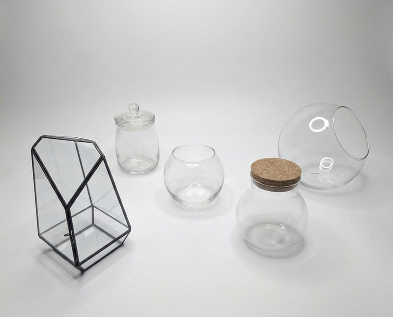 Terrarium Containers