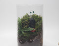 Long Cylinder kodama Terrarium KIT