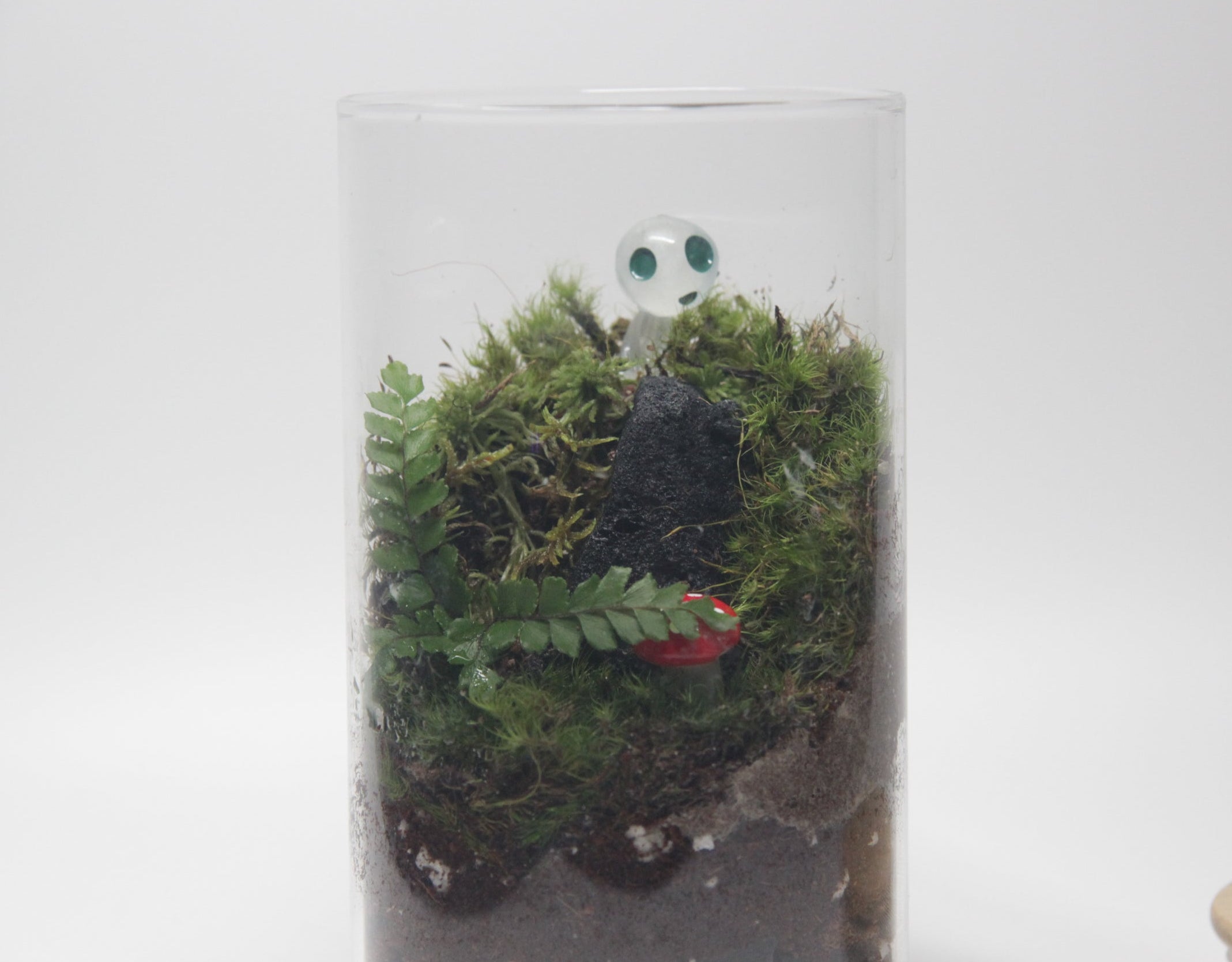 Long Cylinder kodama Terrarium KIT