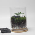 Closed Cylinder Terrarium KIT