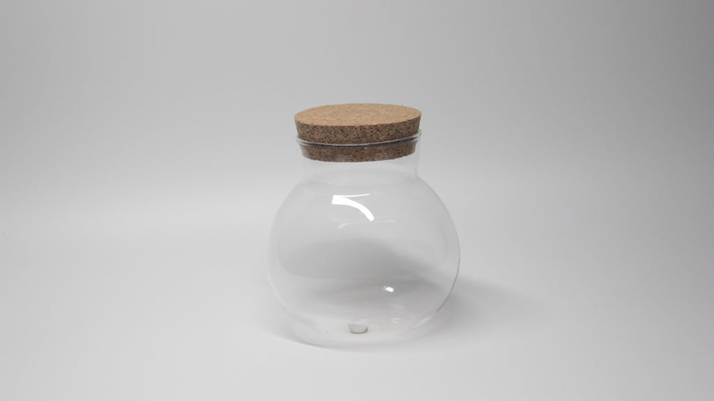 Glass Globe Terrarium Jar with Cork Lid - closed