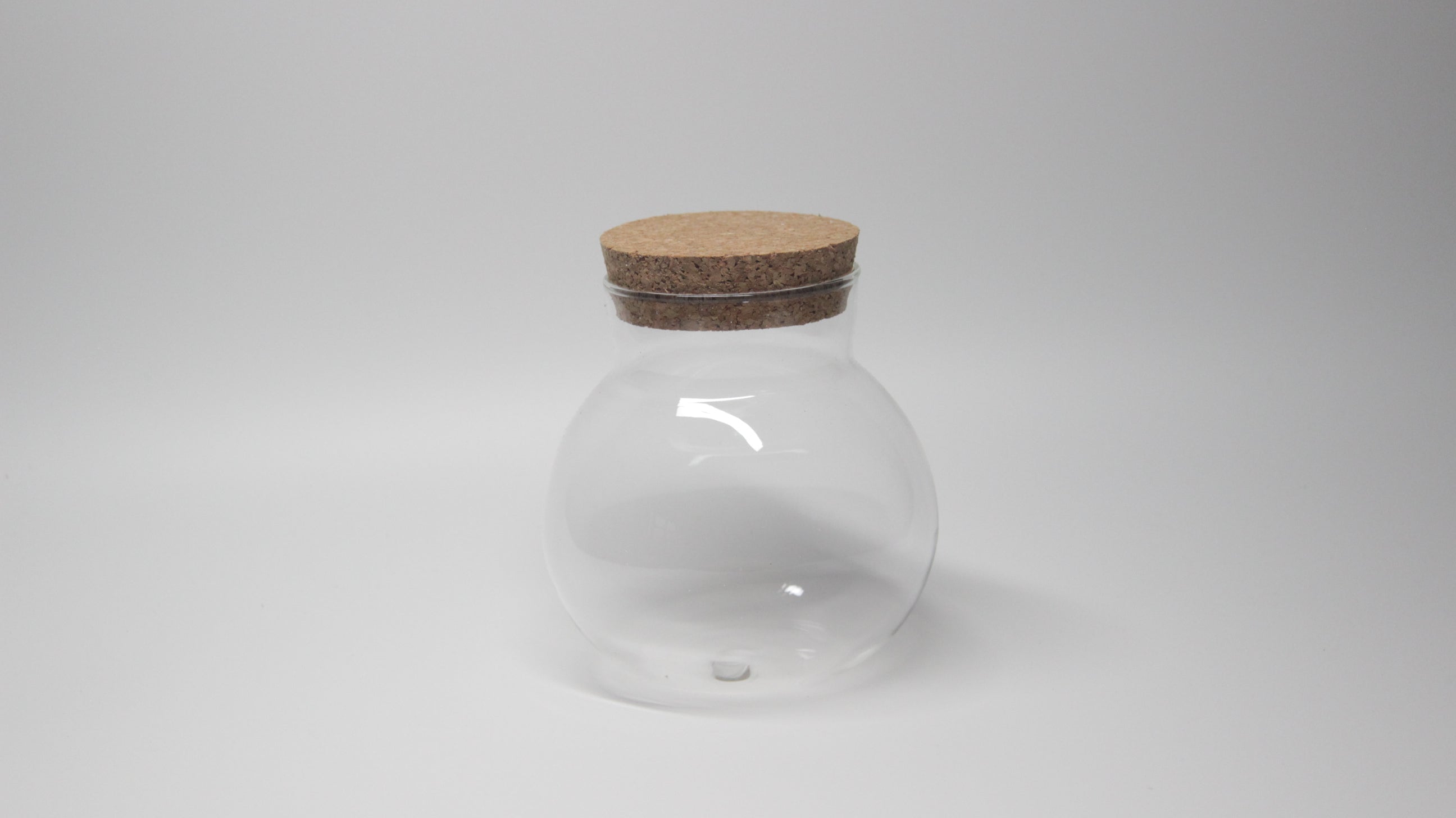 Glass Globe Terrarium Jar with Cork Lid - closed