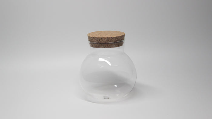 Glass Globe Terrarium Jar with Cork Lid - closed