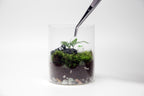 Terrarium Tweezer