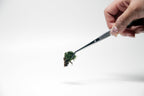 Terrarium Tweezer