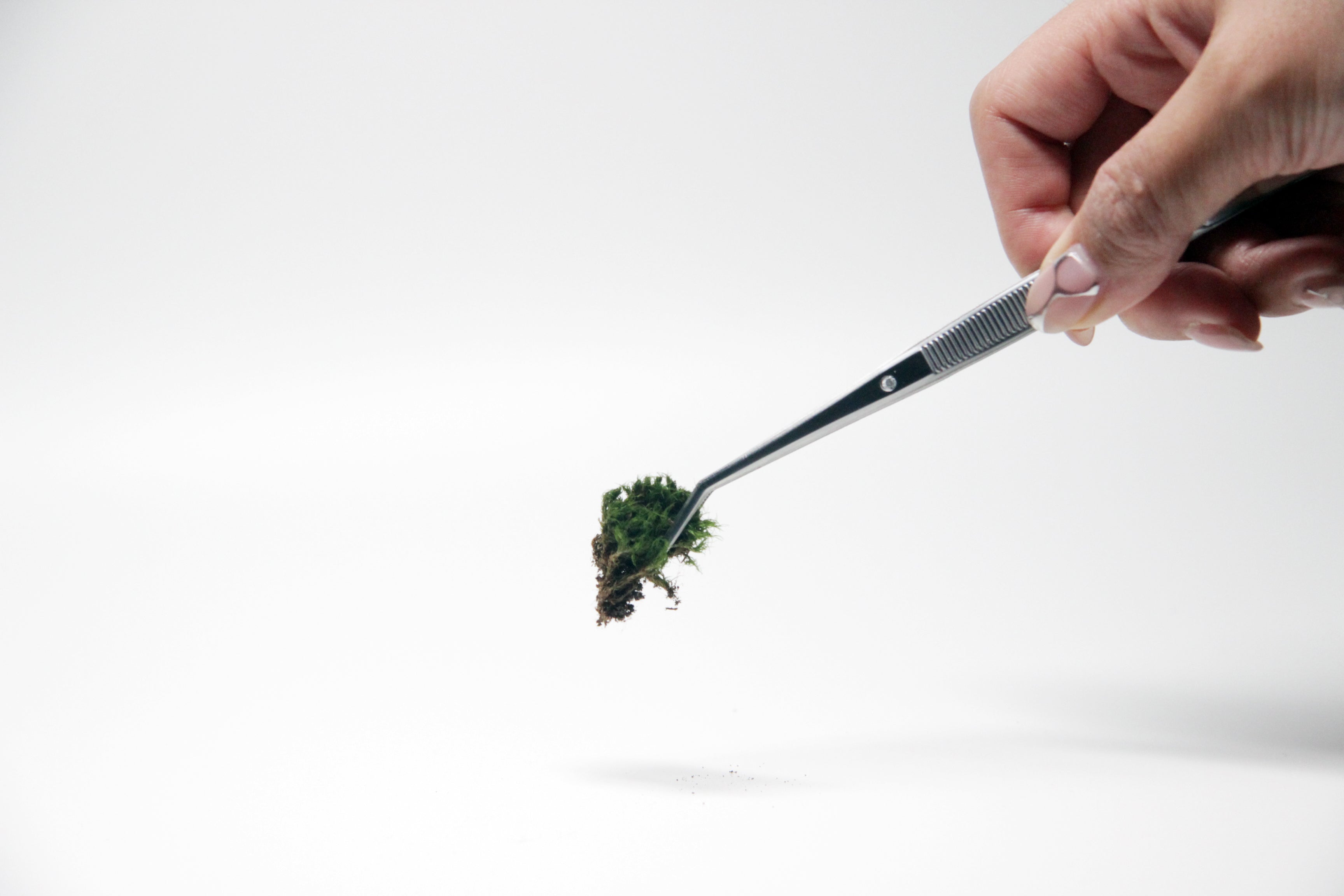 Terrarium Tweezer