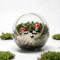 Open Mini Soot Desktop Terrarium KIT
