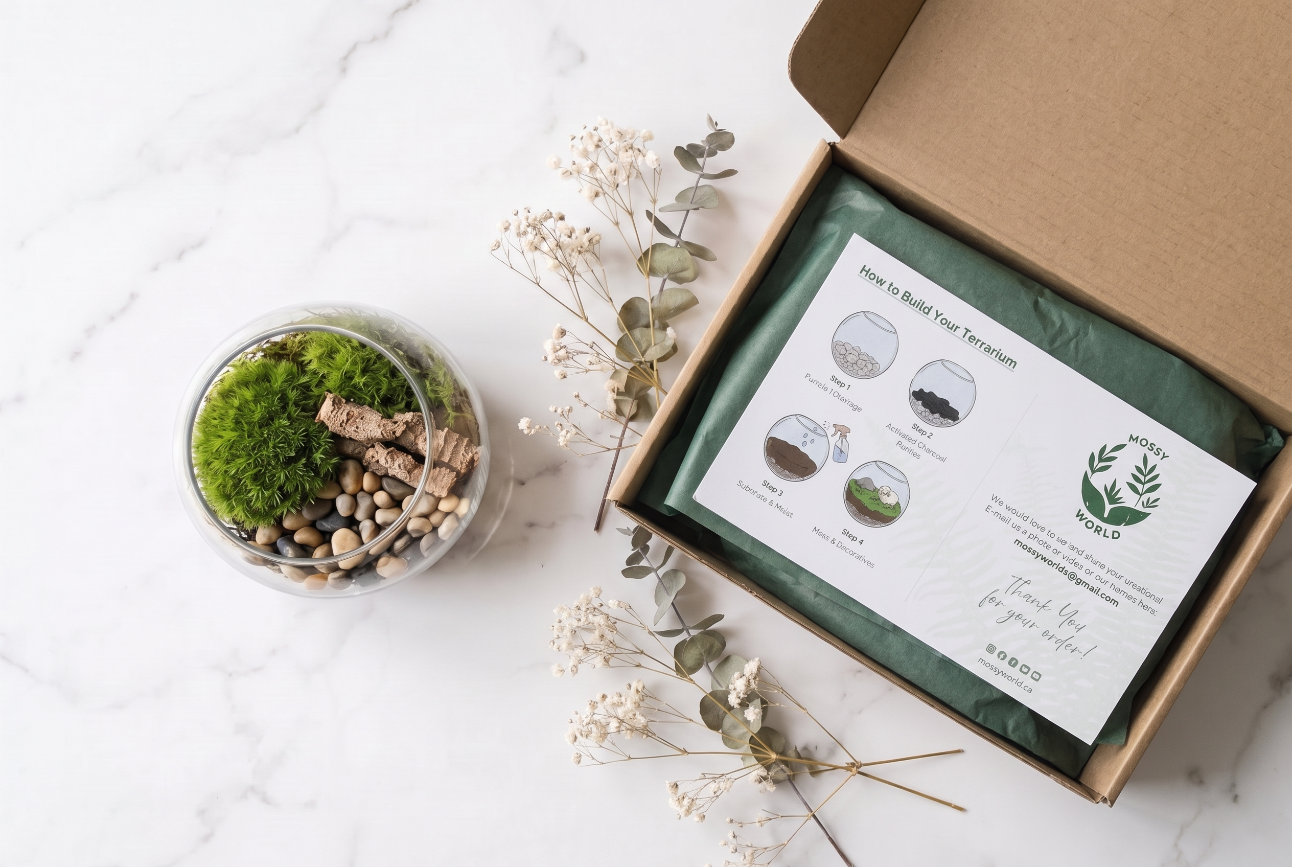 Terrarium Kit